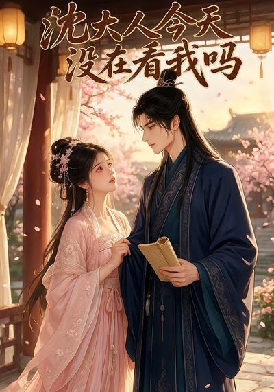 沈大人今天没在看我吗封面